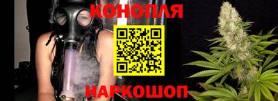 spice Заводоуковск