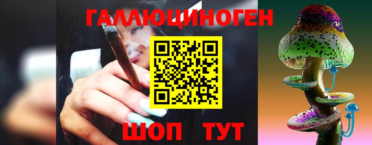 Галлюциногенные грибы Cubensis Люберцы